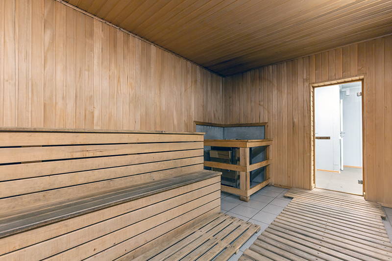 saun2